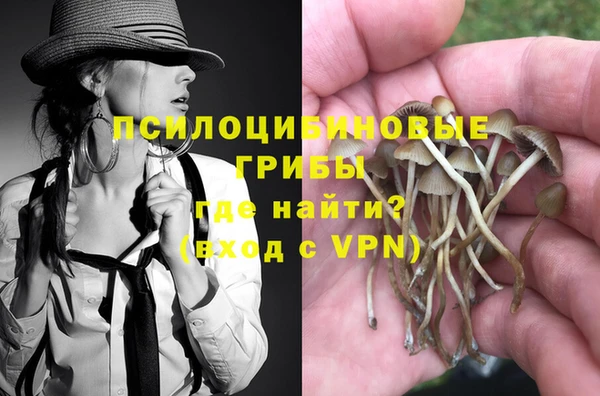 тгк Алексин