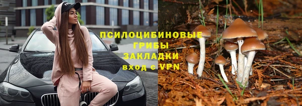 тгк Алексин