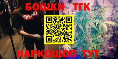 apvp Гусиноозёрск